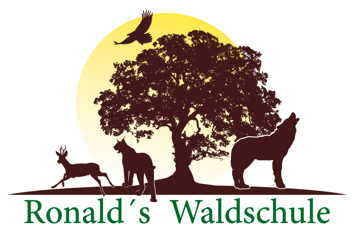 Waldausflüge