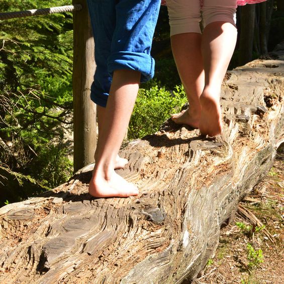 Ferienprogramm für Kinder