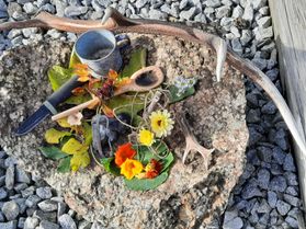 ÜBERLEBEN IN DER NATUR